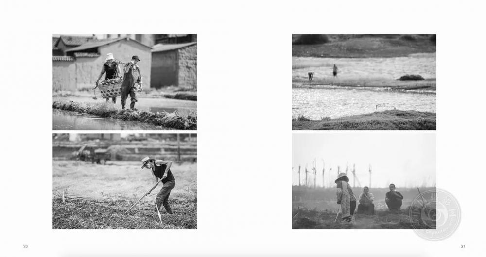 2021年IPA国际摄影奖获奖作品公布——非专业组-图书类（上）(pic33)