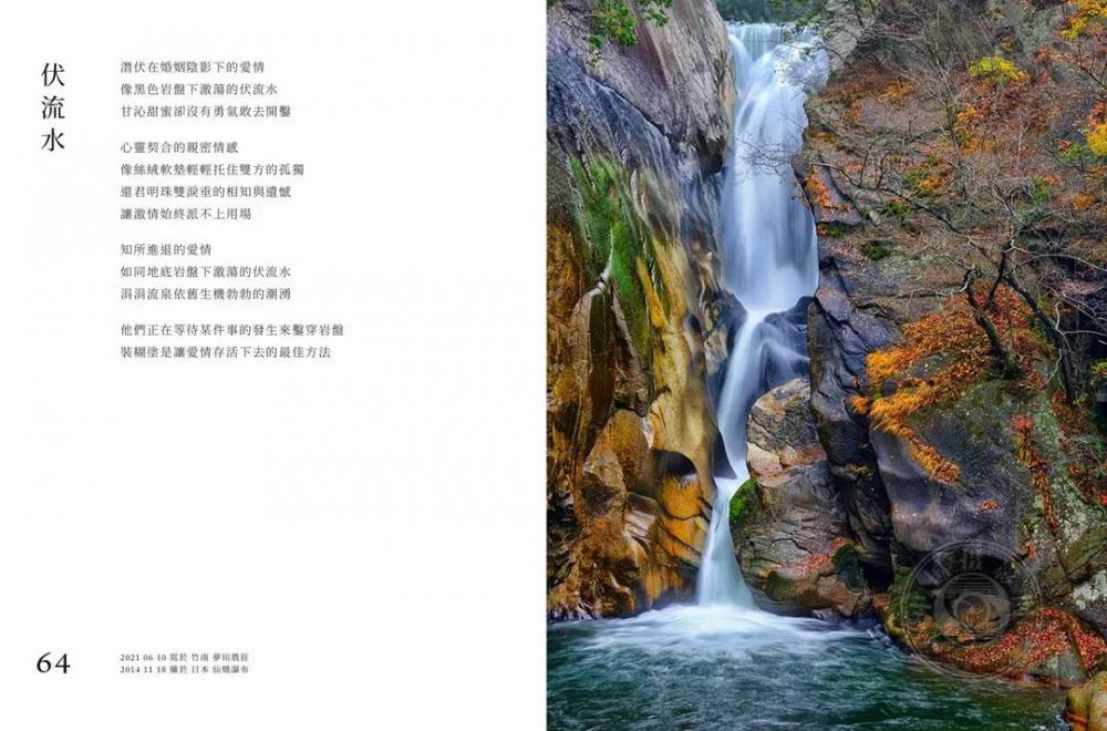 2021年IPA国际摄影奖获奖作品公布——非专业组-图书类（上）(pic79)